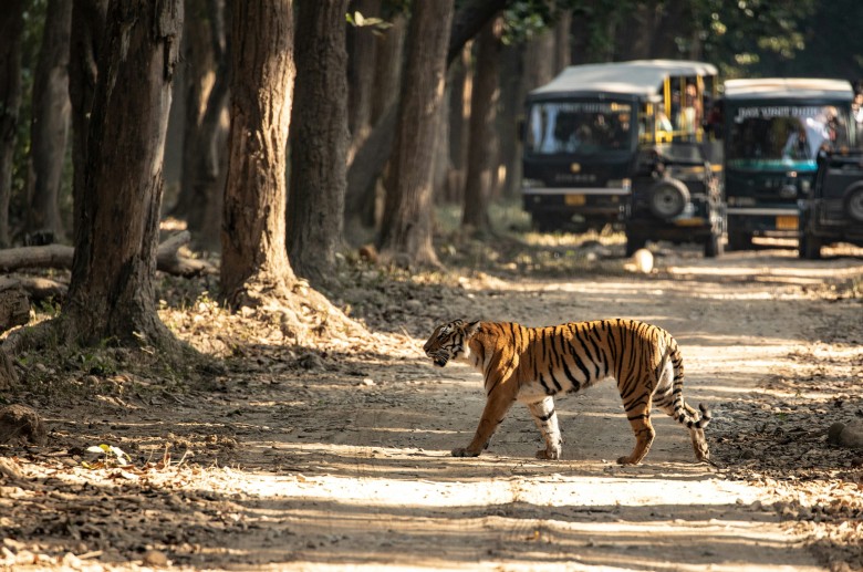 golden-triangle-with-ranthambore-tour